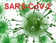 Corona-Virus (SARS-CoV-2)